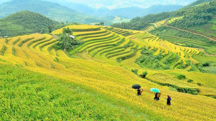 HÀ NỘI TOUR DAILY THĂM QUAN THỦ ĐÔ